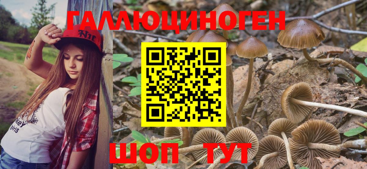 Галлюциногенные грибы Magic Shrooms Богородицк