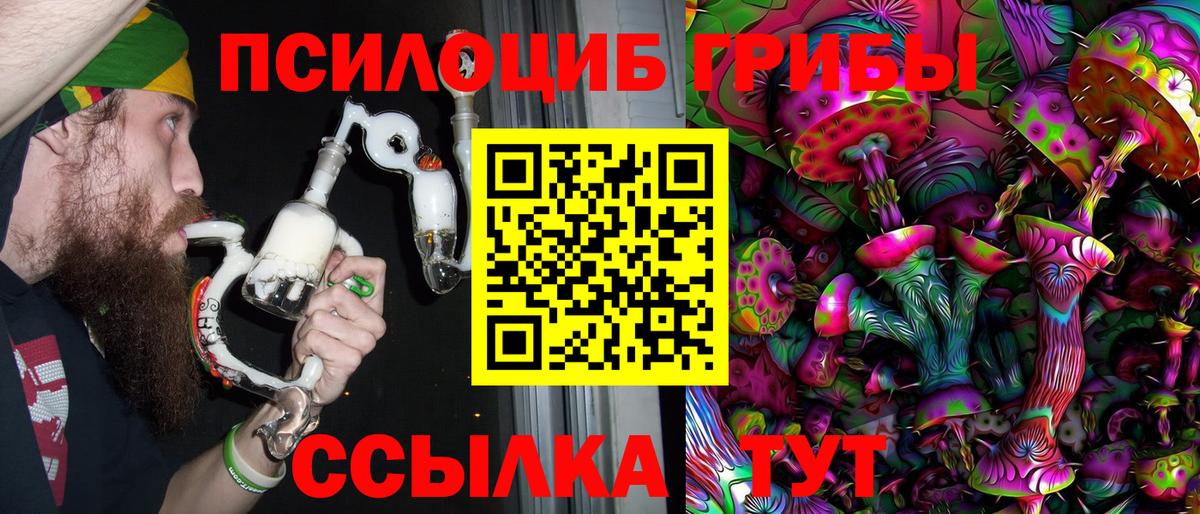 Богородицк  купить  сайты  Вход с VPN  Галлюциногенные грибы Psilocybe 